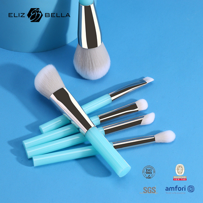 সৌন্দর্য যত্নের জন্য 6pcs OEM মেকআপ চোখের ব্রাশ, নিষ্ঠুরতা মুক্ত সিন্থেটিক চুল মেকআপ ব্রাশ কিট