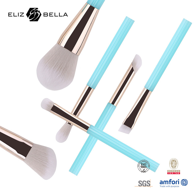 সৌন্দর্য যত্নের জন্য 6pcs OEM মেকআপ চোখের ব্রাশ, নিষ্ঠুরতা মুক্ত সিন্থেটিক চুল মেকআপ ব্রাশ কিট